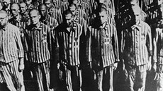 Holandí idé (oznaeni N) v Buchenwaldu