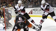 Anaheimský Clayton Stoner padá po souboji s Martinem Hanzalem (vlevo) a... Anaheimský Clayton Stoner padá po souboji s Martinem Hanzalem (vlevo) a...