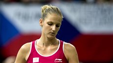 Karolína Plíková ve finále Fed Cupu