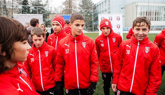 Fotbalová asociace otevela regionální akademie v kraji Vysoina se sídlem v...