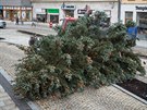 První pokus o usazení smrku nevyel. Strom se vyvlékl z lana a spadl na silnici.