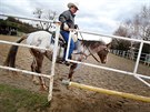 Milan Dolínek dodnes závodí, a to ve westernových disciplínách zvaných trail,...