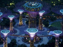 SUPERLES. Návtvníci singapurského parku veeí na vrcholu "superstrom"....