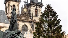 Vánoční strom Na Staroměstském náměstí je už ozdobený (25.11.2015). Vánoční strom Na Staroměstském náměstí je už ozdobený (25.11.2015).