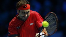 panlský tenista David Ferrer v utkání Turnaje mistr s krajanem Rafaelem...