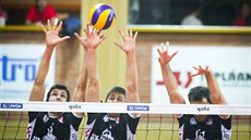 Blok v podání českobudějovických volejbalistů. Blok v podání českobudějovických volejbalistů.