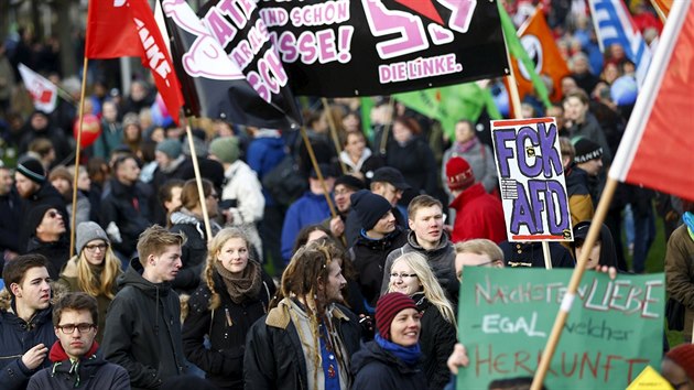 Demonstrace proti sjezdu AfD v Hannoveru (28. listopadu 2015)