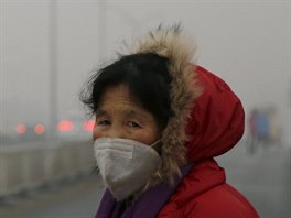Smog trápí ínu zrovna v dob, kdy v Paíi probíhá klimatická konference. Na...