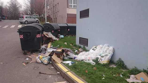 Nepoádek u kontejner na odpad ve Werichov ulici na Barrandov.