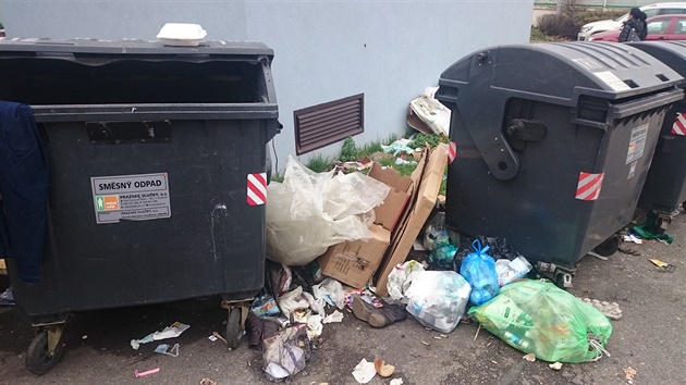 Nepoádek u kontejner na odpad ve Werichov ulici na Barrandov.