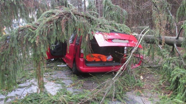 Spadl strom auto zdemoloval, zrannou idiku museli vyprostit hasii (1. 12 .2015).