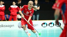 Česká florbalistka Kamila Paloncyová v duelu se Švédskem. Česká florbalistka Kamila Paloncyová v duelu se Švédskem.