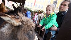 Betlém se ivými zvíaty na vánoních trzích v Chebu.