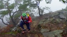 Honza Kotyk na trati Pražské stovky 2014 Honza Kotyk na trati Pražské stovky 2014