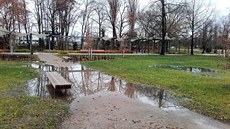 Laguny v Tyršových sadech. Především vyšší hladina řeky Labe mohla minulý týden... Laguny v Tyršových sadech. Především vyšší hladina řeky Labe mohla minulý týden...