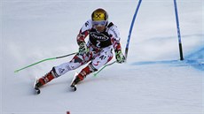 Rakouský lyžař Marcel Hirscher na trati obřího slalomu v Beaver Creeku Rakouský lyžař Marcel Hirscher na trati obřího slalomu v Beaver Creeku