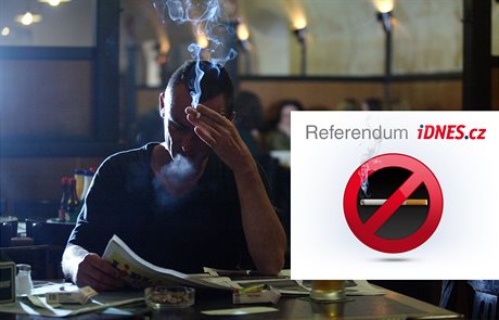 Referendum iDNES.cz