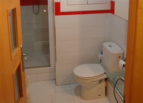 Koupelna se sprchovm koutem je spojen s toaletou. 