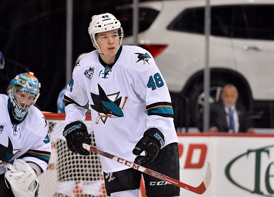 Tom Hertl