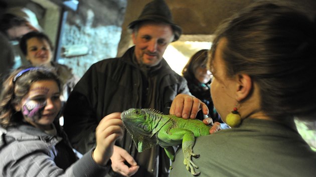 V jihlavsk zoo oteveli o uplynulm vkendu tropick pavilon.