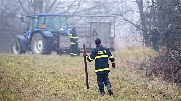 Z ohrady u Borotna na Tborsku uteklo v ter 15. prosince 180 mladch bk. Hasii a policist je chytali i celou stedu.