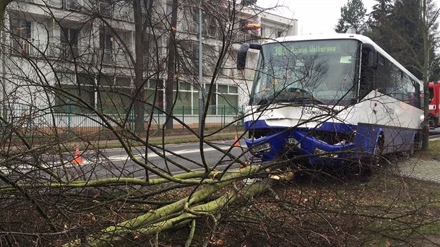 Ve Slavtnsk ulici v Klnovicch dostal idi autobusu infarkt a narazil s cestujcmi do stromu (16.12.2005)