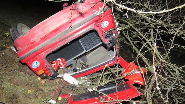 idi s autem sjel ze silnice a narazil do stromu. Zrannm na mst podlehl (15. 12. 2015).