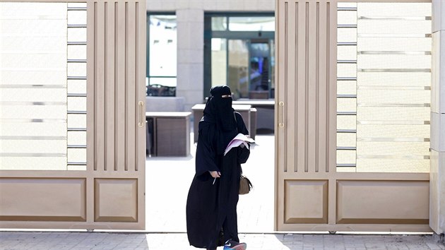 Mezi sedmi tisci kandidty v saudskoarabskch regionlnch volbch je i devt set en. (12. prosince 2015)