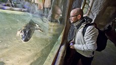 Jihlavskou zoologickou zahradu letos navtíví více ne 300 tisíc návtvník. Stane se tak poprvé v její historii.