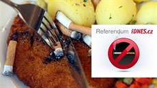 Referendum iDNES.cz Referendum iDNES.cz