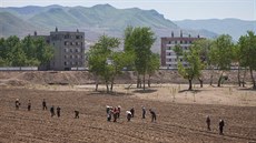 Severní Hamgjong - jedna z provincií, kterým podle jihokorejské ústavy vládne...