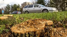 Prostranství před autocentrem bez pokácených stromů. Prostranství před autocentrem bez pokácených stromů.