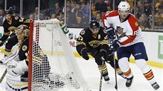 Jaromír Jágr z Floridy bojuje za brankou Bostonu. Jaromír Jágr z Floridy bojuje za brankou Bostonu.