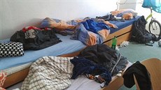 Spolubydlení je nejlepší ve třech. Kanadské žertíky ve dvou nejsou ono. Spolubydlení je nejlepší ve třech. Kanadské žertíky ve dvou nejsou ono.