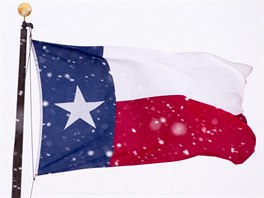 Vlajka státu Texas se tepotá ve vánici (27. prosince 2015).