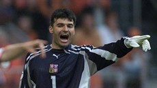 Bývalý eský reprezentant Pavel Srníek