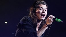 Britský zpěvák a člen populární skupiny One Direction Harry Styles patří mezi... Britský zpěvák a člen populární skupiny One Direction Harry Styles patří mezi...