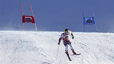 Rakouský lya Marcel Hirscher na trati obího slalomu v Alta Badii.
