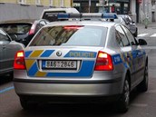 policejní auto policejní auto