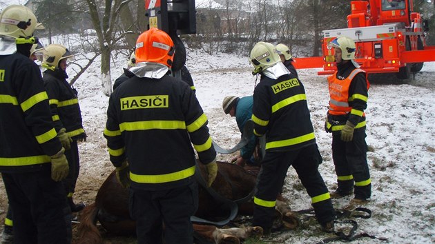 Kon se podailo hasim zvednout a za pomoci jebu.