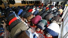 Muslimové z kolínského pedmstí Zollstock bhem páteních modliteb (8. ledna...