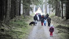 Mylenka na silvestrovská setkání na Alejích vznikla v roce 2013 ve Stonaov.