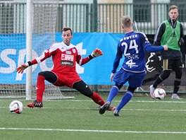 Olomouck fotbalista Petr evk se pokou pokoit znojemskho glmana Jiho...