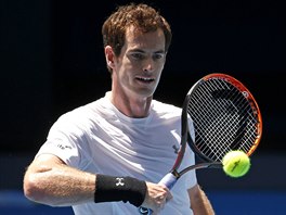 Andy Murray bhem trninku na Australian Open