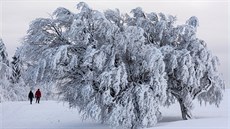 Mrazivá zima v nmeckém Bavorsku. (14. ledna 2016)