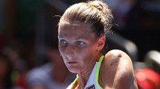 eská tenistka Karolína Plíková v duelu 1. kola Australian Open s Francouzkou...