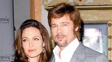 Angelina Jolie a Brad Pitt - Spolu v práci i doma (2008)