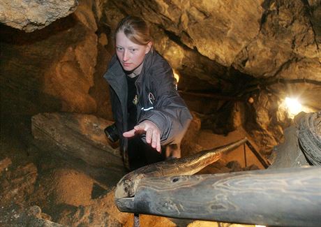 U Chýnova je jediná zpístupnná jeskyn v Jihoeském kraji.