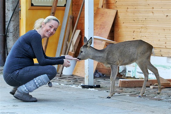 Srneka Bambina se stala dalím lenem rodiny Kateiny ermákové.