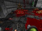 Brutal Doom